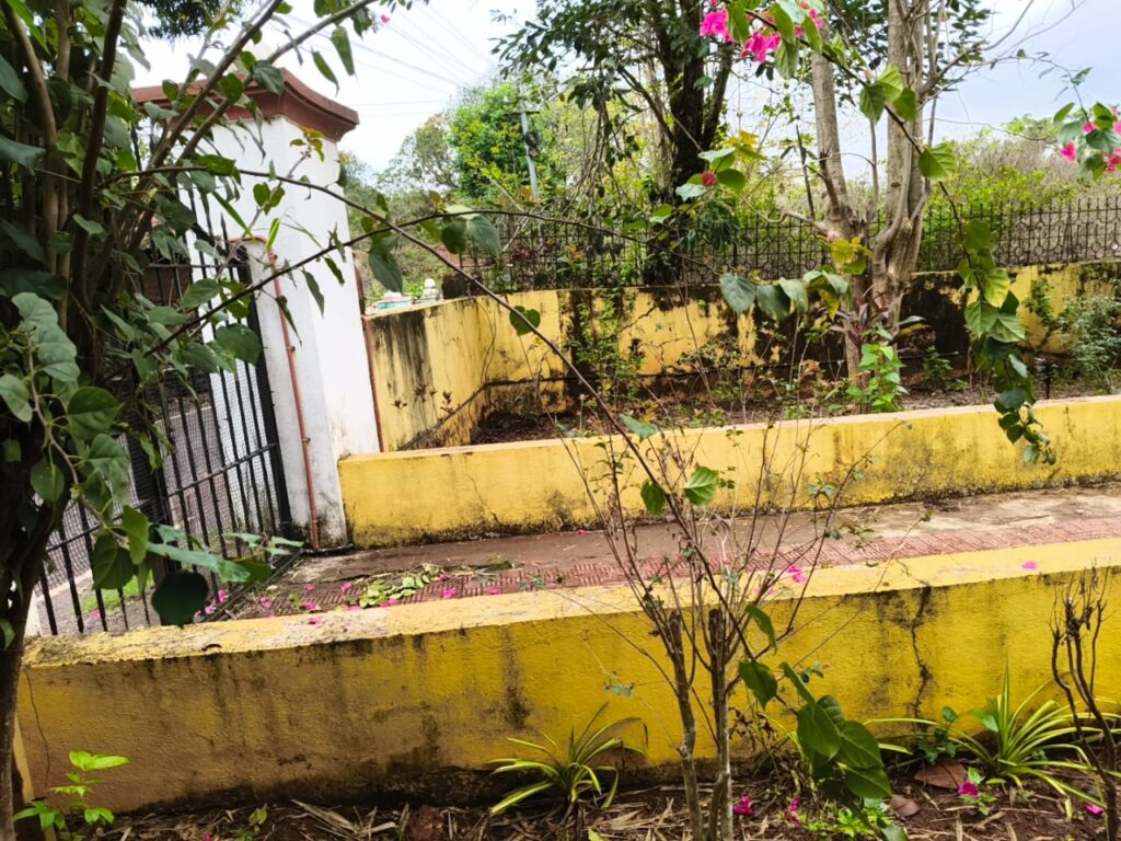 Plot