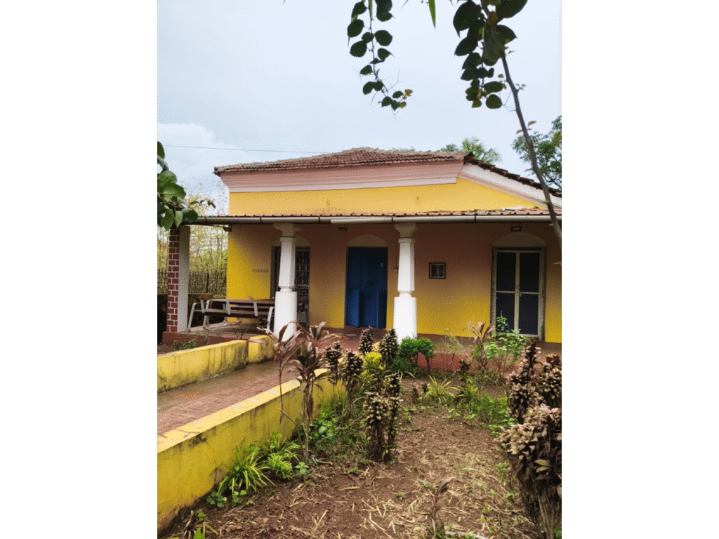 Plot For Sale 9