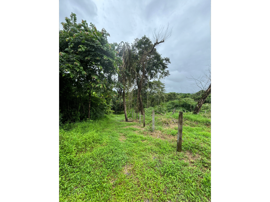 Plot for Sale in Aldona (1)