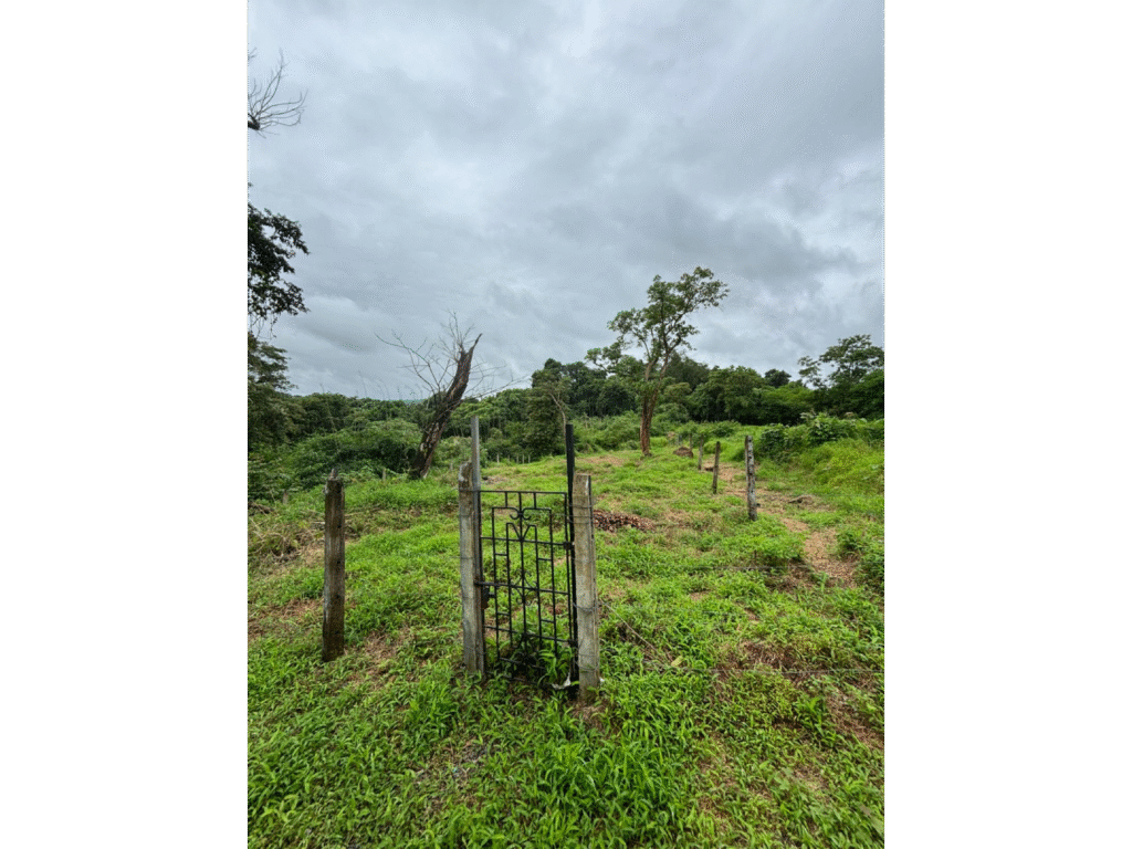 Plot for Sale in Aldona
