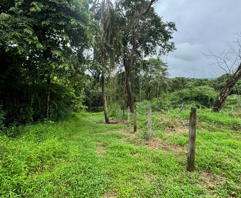 Plot for Sale in Aldona, Goa 2