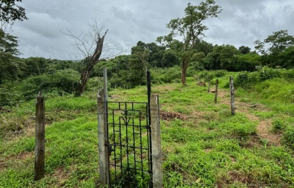 Plot for Sale in Aldona, Goa