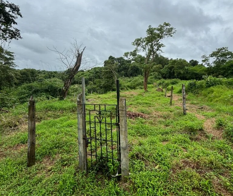 Plot for Sale in Aldona, Goa