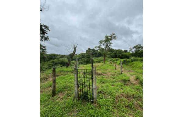 Property for Sale in Aldona with Scienic View