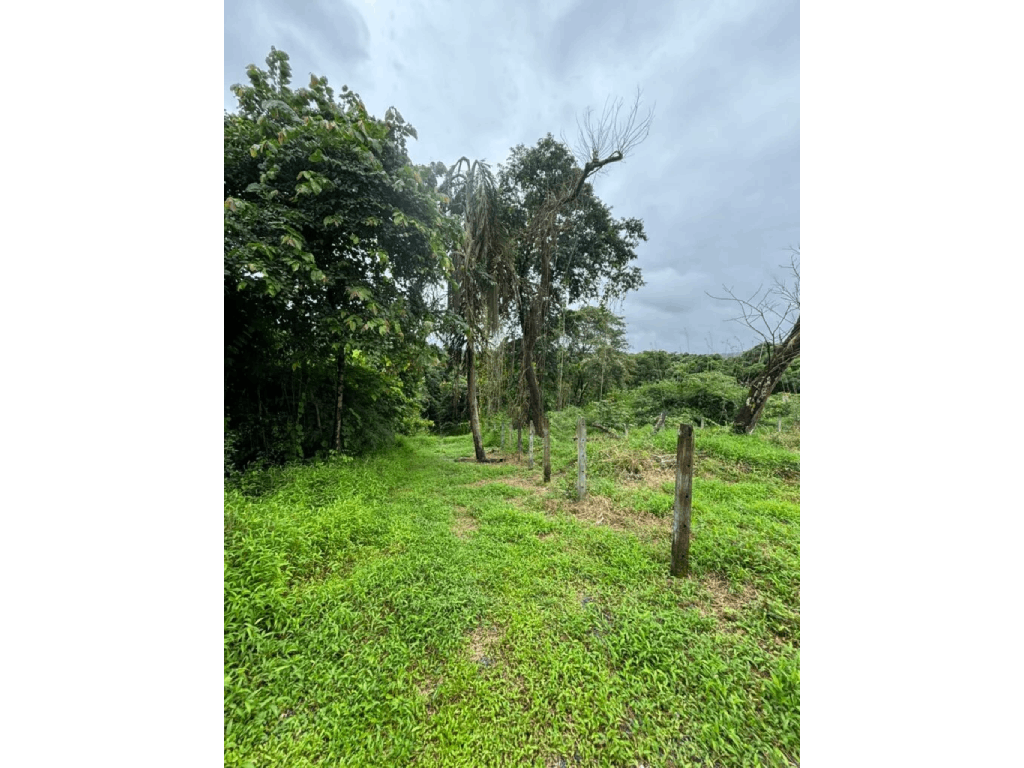 Property for Sale in Aldona with Scienic View3