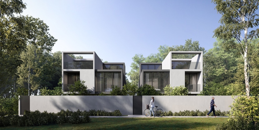 robinia