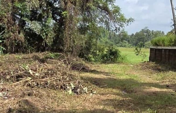 WhatsApp Image 2025-10-09 at 18.36.37