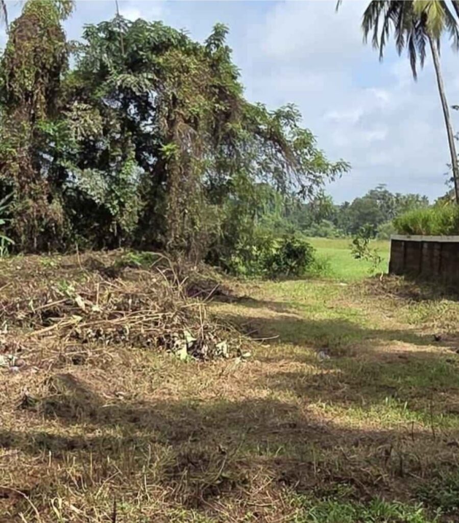 WhatsApp Image 2025-10-09 at 18.36.37