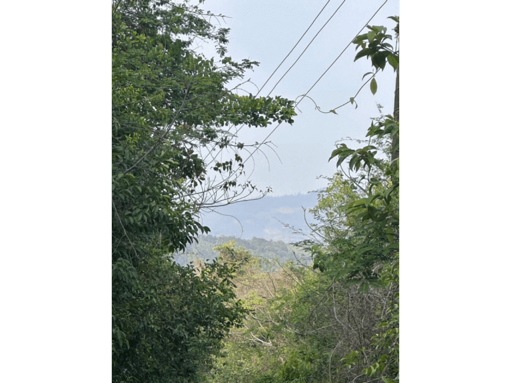 WhatsApp Image 2025-10-12 at 11.40.03 (2) (1)