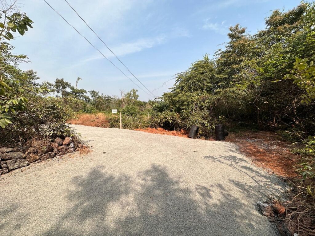 WhatsApp Image 2025-10-12 at 11.40.03 (2)