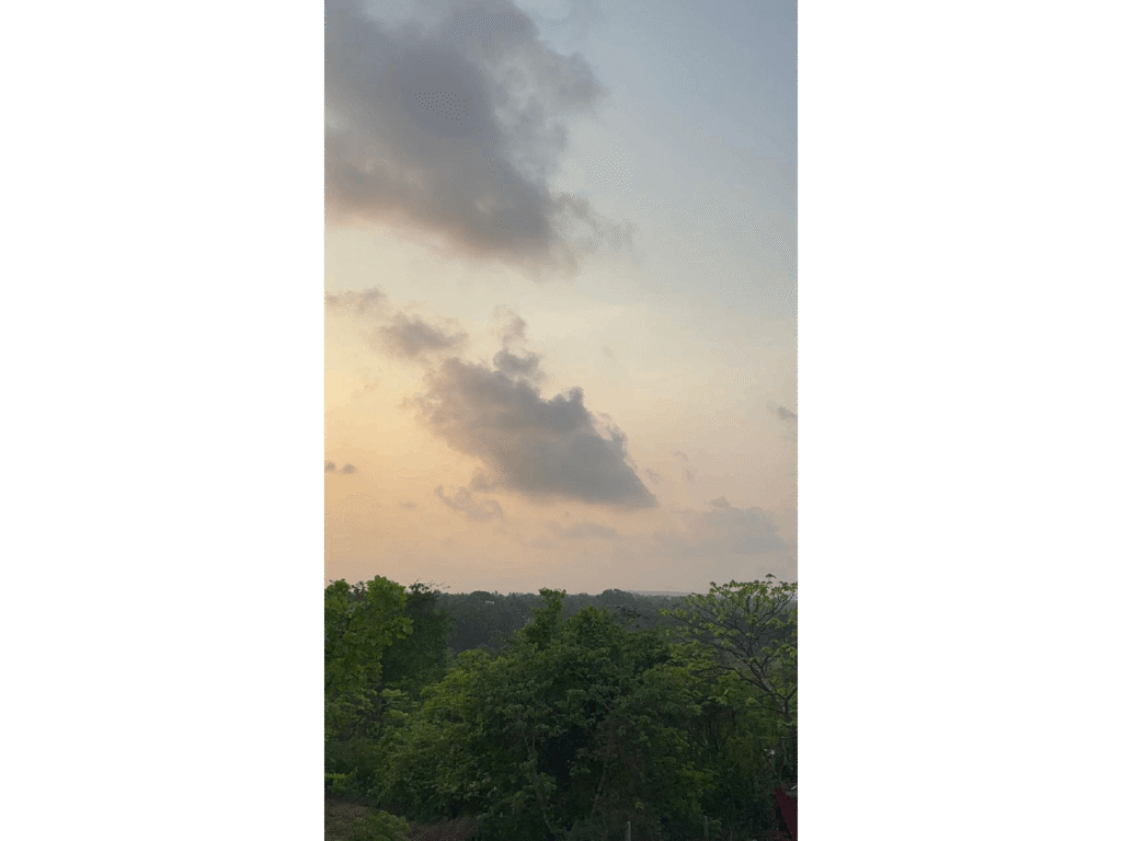 WhatsApp Image 2025-10-12 at 11.40.03 (2)