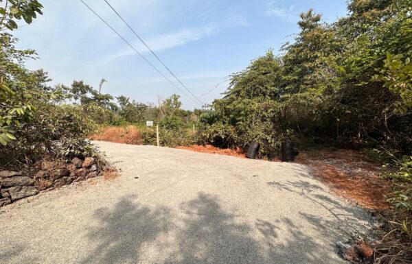 WhatsApp Image 2025-10-12 at 11.40.03 (2)