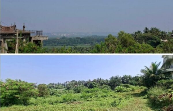 WhatsApp Image 2025-10-29 at 15.08.22