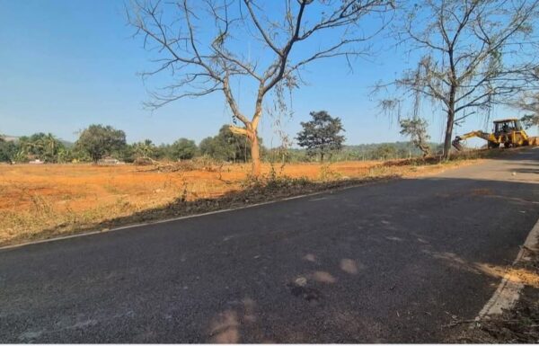 WhatsApp Image 2025-11-03 at 15.42.49 (1)