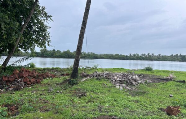 WhatsApp Image 2025-11-05 at 14.45.13 (1)