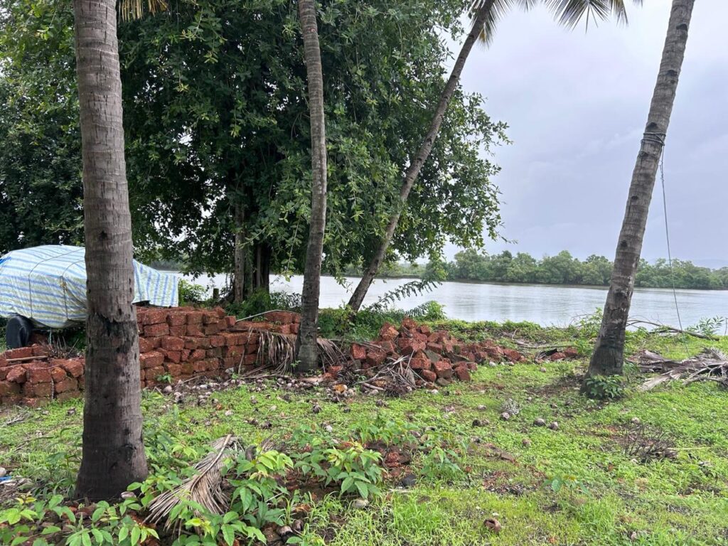 WhatsApp Image 2025-11-05 at 14.45.13