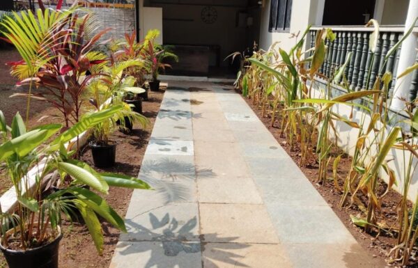 WhatsApp Image 2025-11-07 at 13.56.57