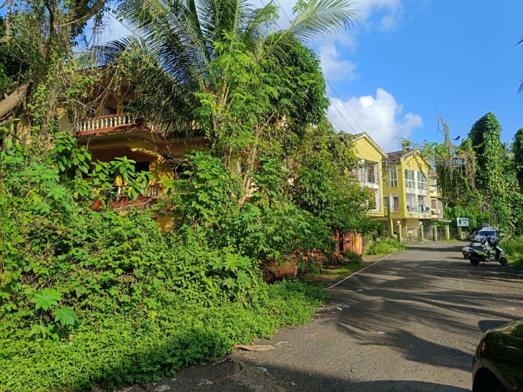 WhatsApp Image 2025-11-10 at 11.20.10 (1)