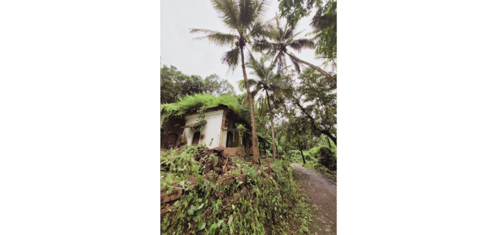 WhatsApp Image 2025-11-10 at 16.47.22 (1)