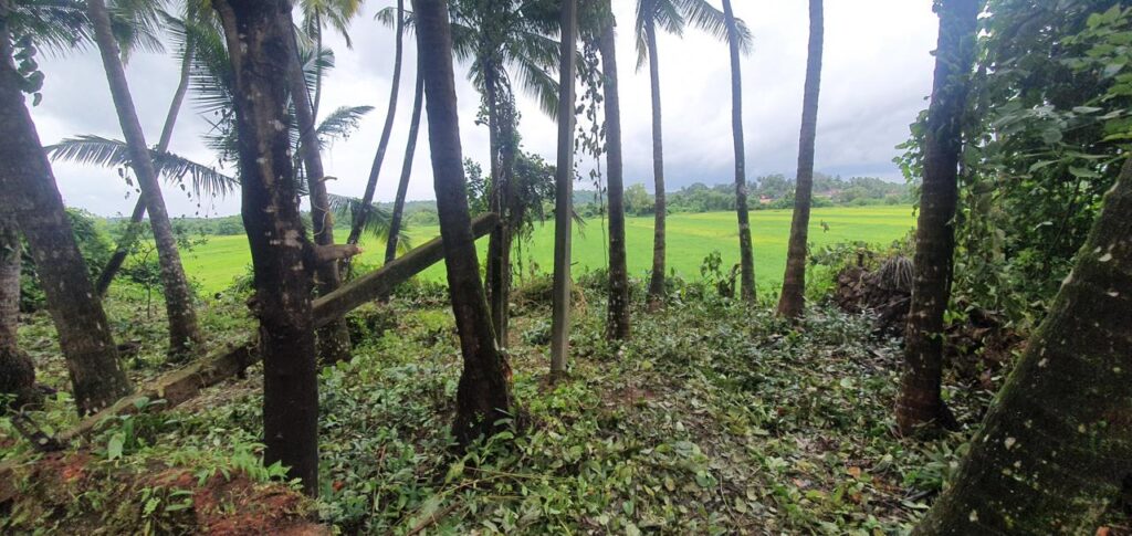 WhatsApp Image 2025-11-10 at 16.47.22