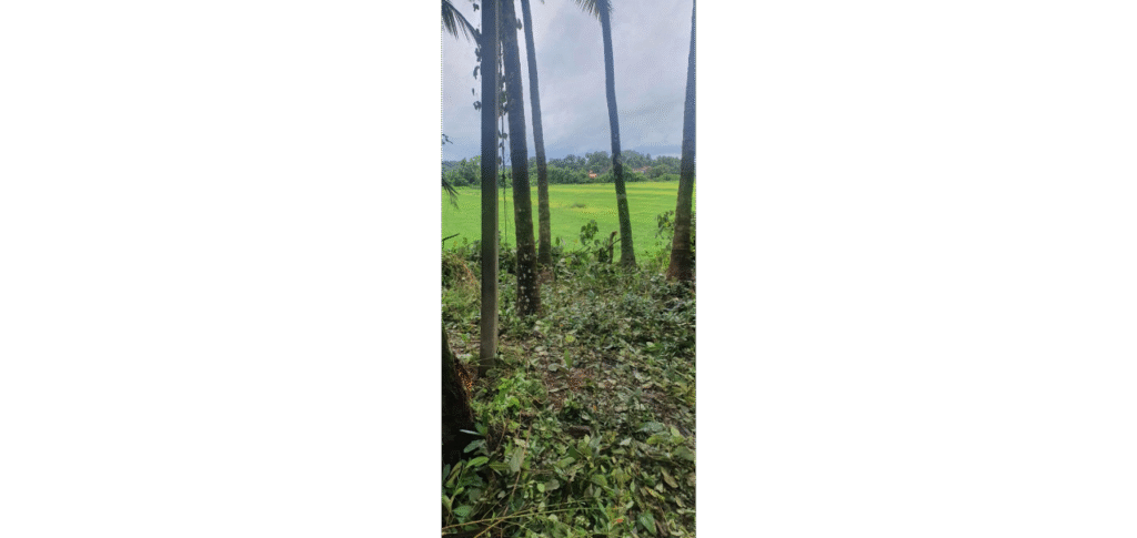 WhatsApp Image 2025-11-10 at 16.47.22