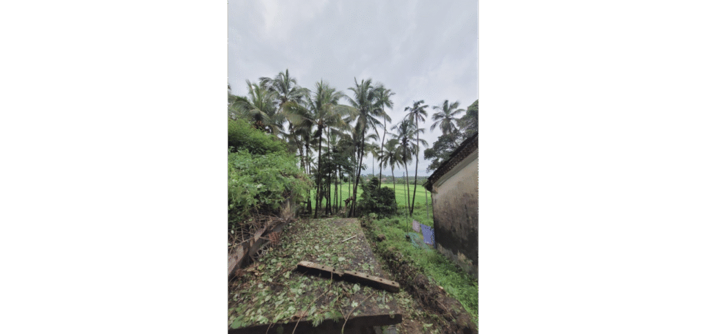 WhatsApp Image 2025-11-10 at 16.47.22 (2)