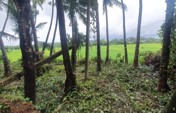 WhatsApp Image 2025-11-10 at 16.47.22