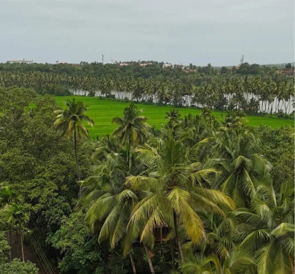 WhatsApp Image 2025-11-12 at 14.59.22