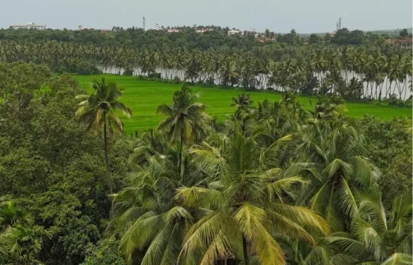 WhatsApp Image 2025-11-12 at 14.59.22