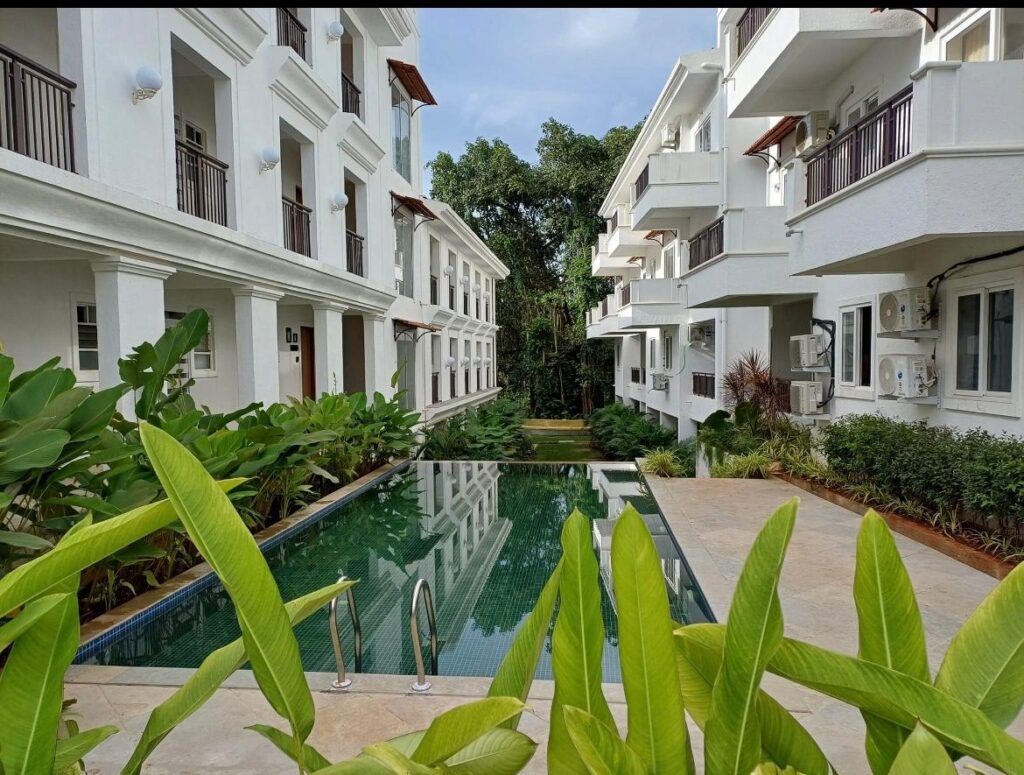 WhatsApp Image 2025-11-14 at 16.53.58 (1)