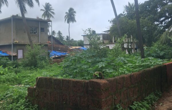 WhatsApp Image 2025-11-19 at 13.06.02