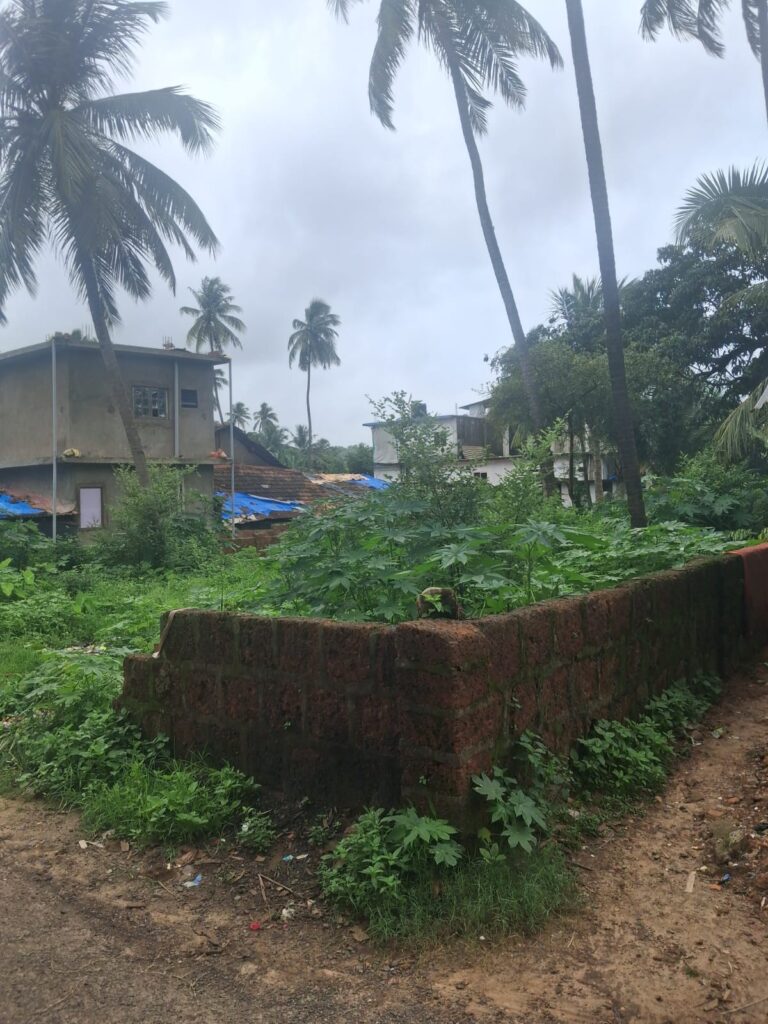 WhatsApp Image 2025-11-19 at 13.06.02