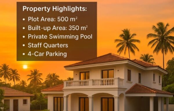 WhatsApp Image 2025-11-22 at 11.03.31