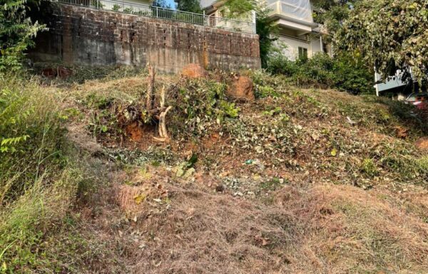 WhatsApp Image 2025-11-24 at 15.06.14