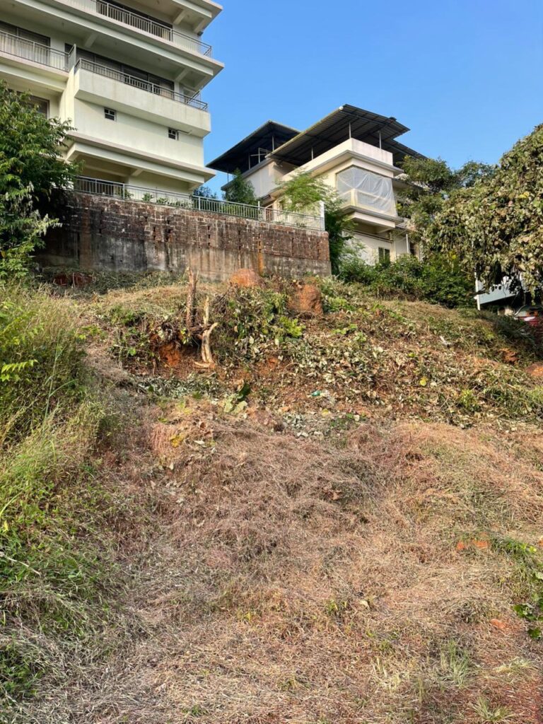 WhatsApp Image 2025-11-24 at 15.06.14