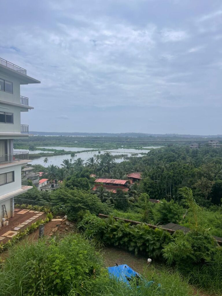 WhatsApp Image 2025-11-24 at 15.06.15