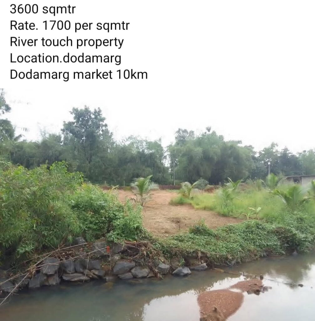 WhatsApp Image 2025-11-25 at 14.25.45