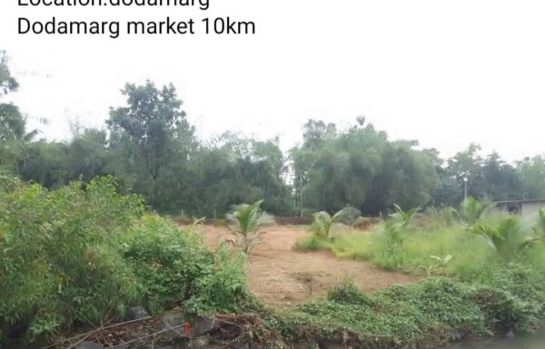 WhatsApp Image 2025-11-25 at 14.25.45