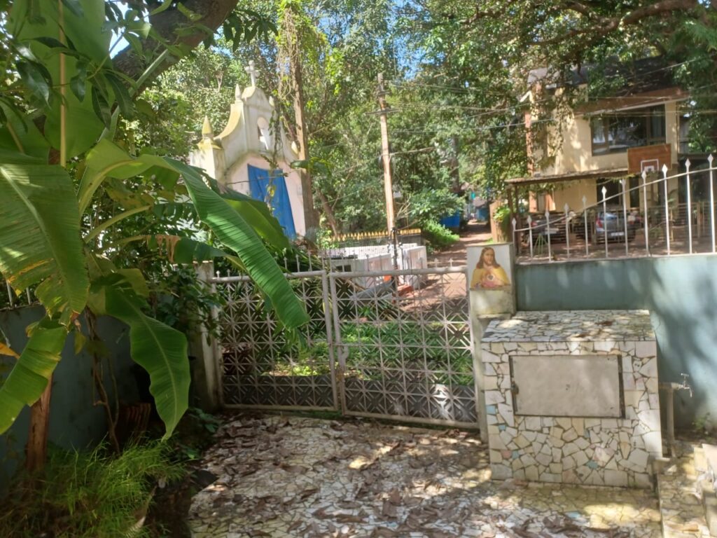 WhatsApp Image 2025-11-25 at 14.43.57 (1)