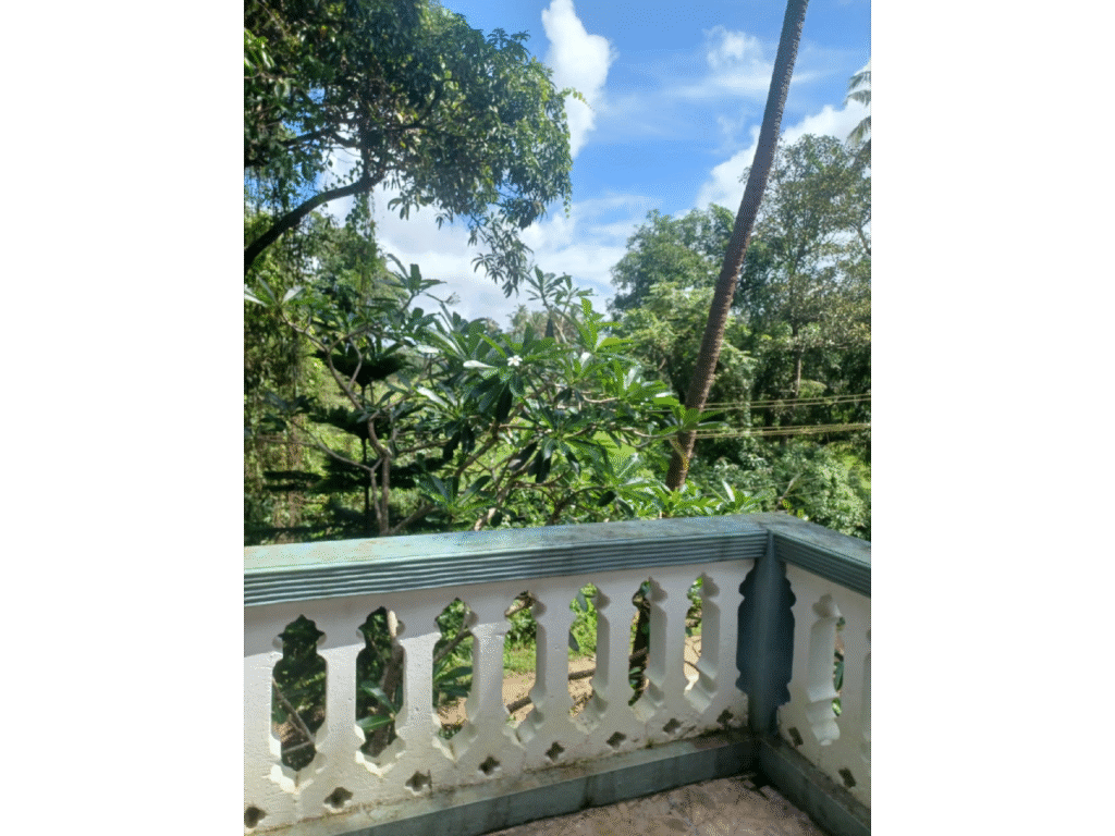 WhatsApp Image 2025-11-25 at 14.43.57 (1)