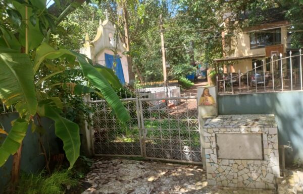 WhatsApp Image 2025-11-25 at 14.43.57 (1)