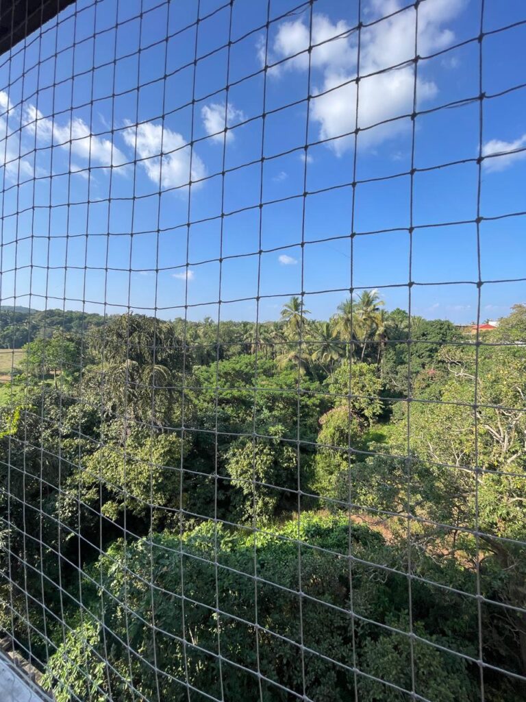 WhatsApp Image 2025-11-26 at 12.01.51