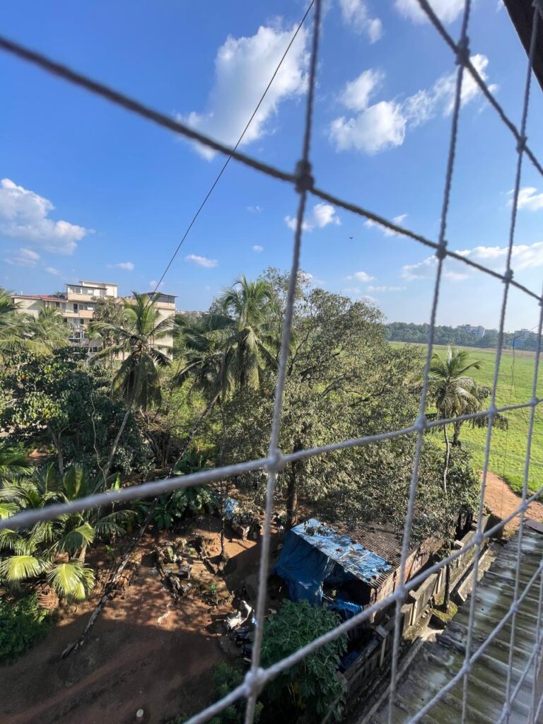 WhatsApp Image 2025-11-26 at 12.01.52 (2)