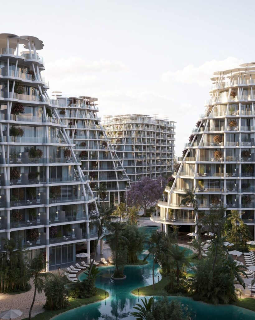 WhatsApp Image 2025-12-06 at 12.30.50 (1)