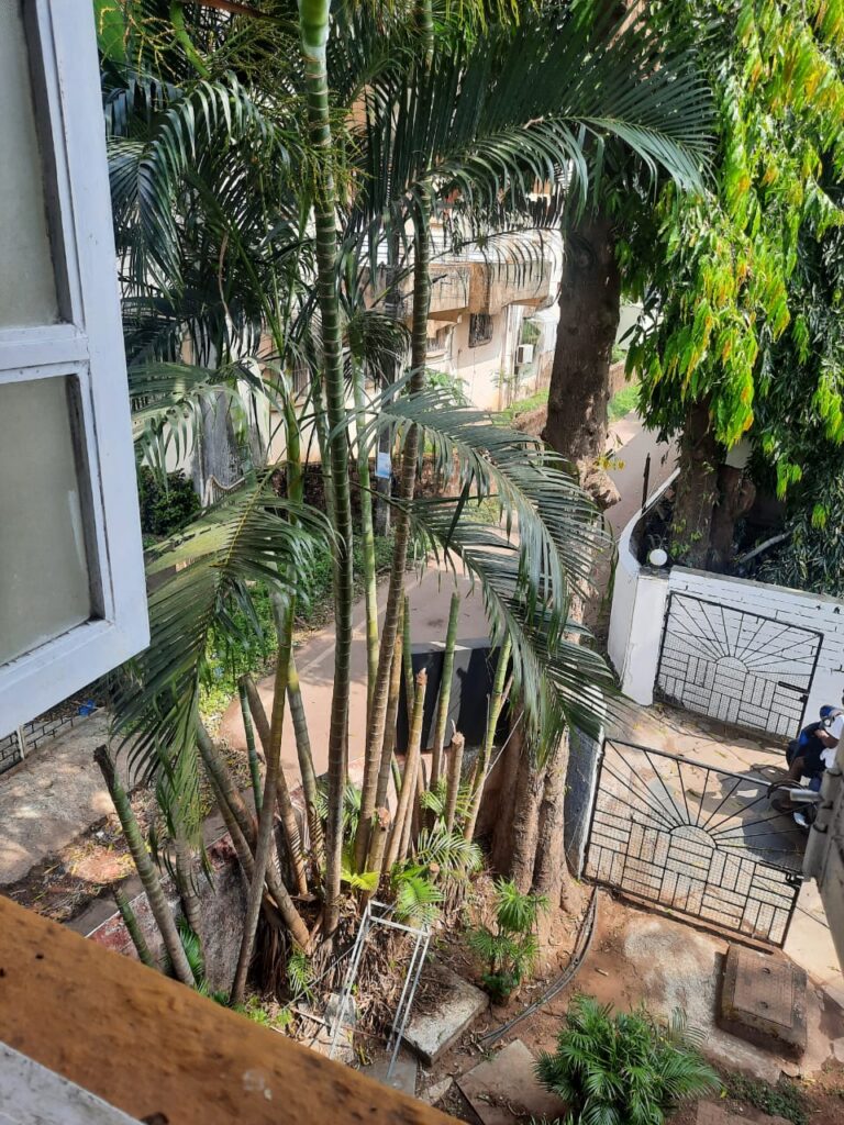 WhatsApp Image 2025-12-06 at 12.34.08