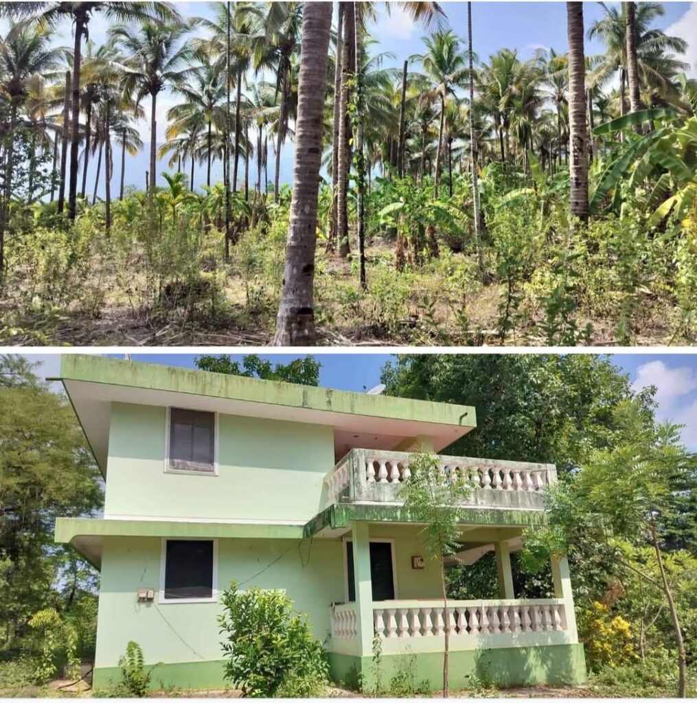 WhatsApp Image 2025-12-11 at 16.48.36