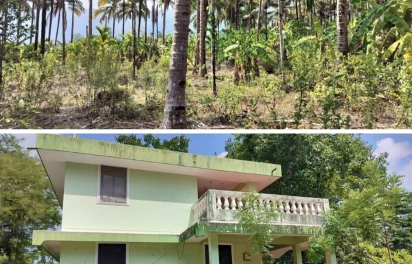 WhatsApp Image 2025-12-11 at 16.48.36