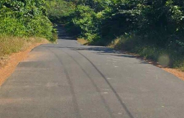 WhatsApp Image 2025-12-11 at 17.07.44