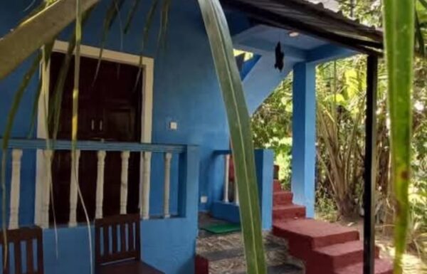 WhatsApp Image 2025-12-12 at 11.47.06