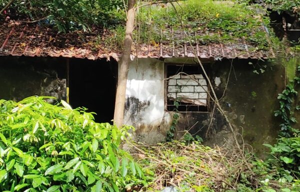 WhatsApp Image 2025-12-18 at 10.38.26